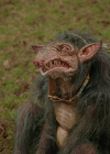 VampireDiariesWorld-dot-nl_Legacies4x17IntoTheWoods0793.jpg