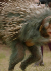 VampireDiariesWorld-dot-nl_Legacies4x17IntoTheWoods0845.jpg
