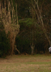 VampireDiariesWorld-dot-nl_Legacies4x17IntoTheWoods0874.jpg