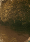 VampireDiariesWorld-dot-nl_Legacies4x20JustDontBeAStrangerOkay2281.jpg