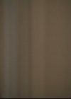 VampireDiariesWorld-dot-org_TheOriginals1x02HouseOfTheRisingSun0348.jpg