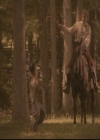 VampireDiariesWorld-dot-org_TheOriginals1x02HouseOfTheRisingSun0666.jpg