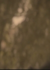 VampireDiariesWorld-dot-org_TheOriginals1x02HouseOfTheRisingSun0671.jpg