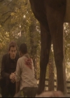 VampireDiariesWorld-dot-org_TheOriginals1x02HouseOfTheRisingSun0694.jpg