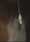 Filename=VampireDiariesWorld-dot-org_TheOriginals1x03TangledUpInBlue2271.jpg
Filesize=15KiB
Dimensions=720x576
Date added=Dec 16, 2014 VampireDiariesWorld-dot-org_TheOriginals1x03TangledUpInBlue2271.jpg