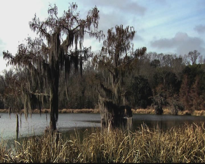 VampireDiariesWorld-dot-org_TheOriginals1x05SinnersAndSaints1111.jpg