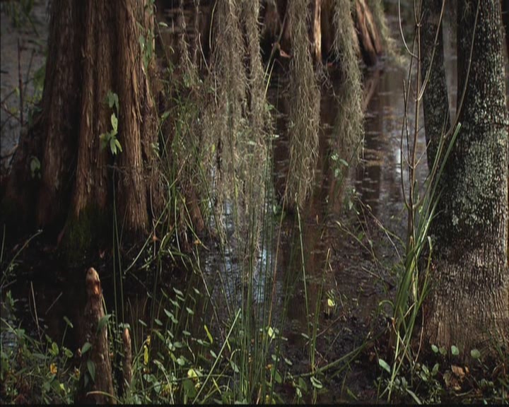VampireDiariesWorld-dot-org_TheOriginals1x05SinnersAndSaints1113.jpg