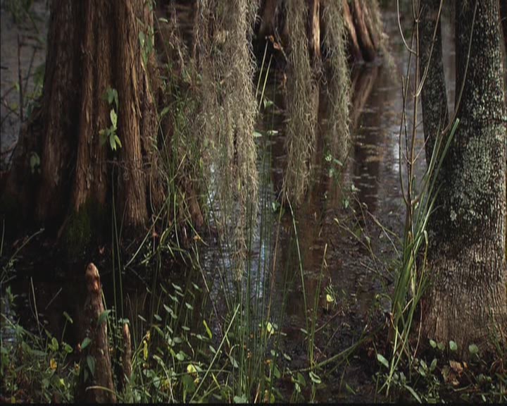 VampireDiariesWorld-dot-org_TheOriginals1x05SinnersAndSaints1114.jpg