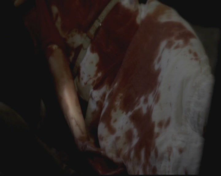 VampireDiariesWorld-dot-org_TheOriginals1x05SinnersAndSaints1449.jpg