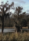 VampireDiariesWorld-dot-org_TheOriginals1x05SinnersAndSaints1112.jpg