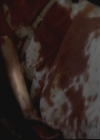 VampireDiariesWorld-dot-org_TheOriginals1x05SinnersAndSaints1449.jpg