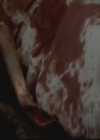 VampireDiariesWorld-dot-org_TheOriginals1x05SinnersAndSaints1450.jpg