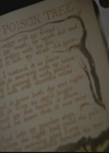 VampireDiariesWorld-dot-org_TheOriginals1x06FruitsOfThePoisonedTree0038.jpg