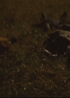 Filename=VampireDiariesWorld-dot-org_TheOriginals1x10TheCasketGirls2431.jpg
Filesize=42KiB
Dimensions=720x576
Date added=Dec 16, 2014 VampireDiariesWorld-dot-org_TheOriginals1x10TheCasketGirls2431.jpg