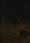 VampireDiariesWorld-dot-org_TheOriginals1x10TheCasketGirls2446.jpg