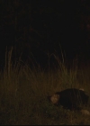 VampireDiariesWorld-dot-org_TheOriginals1x10TheCasketGirls2447.jpg