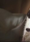 VampireDiariesWorld-dot-org_TheOriginals1x10TheCasketGirls2563.jpg