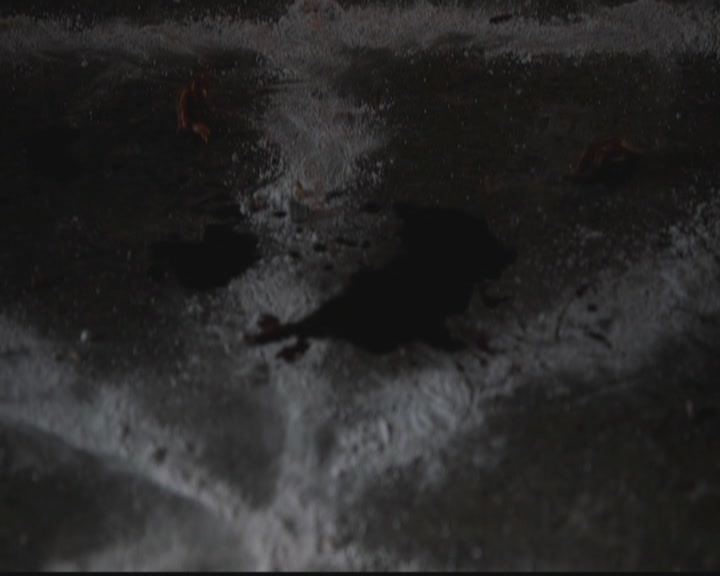 VampireDiariesWorld-dot-org_TheOriginals1x12DanceBackFromTheGrave0614.jpg