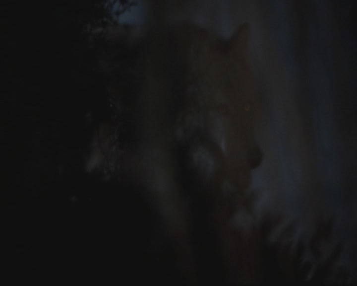 VampireDiariesWorld-dot-org_TheOriginals1x3CresentCity1839.jpg