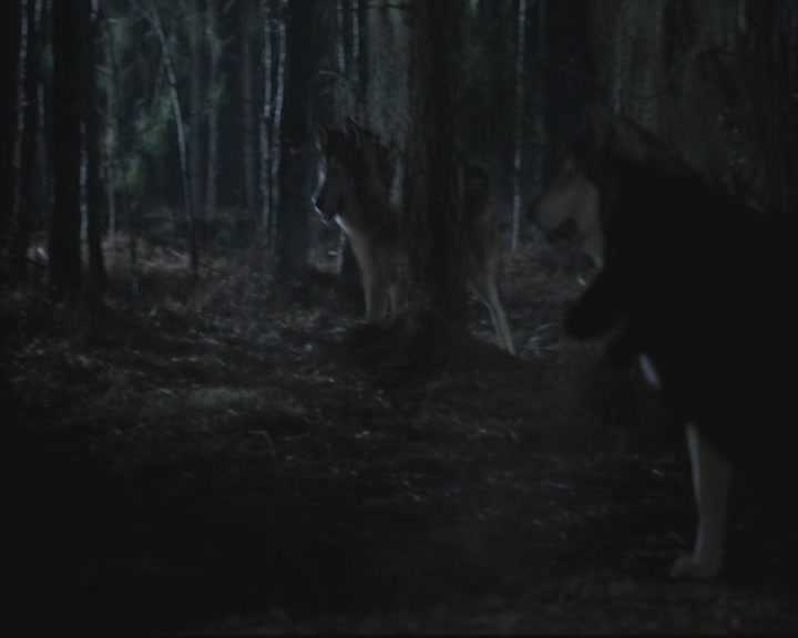 VampireDiariesWorld-dot-org_TheOriginals1x3CresentCity1842.jpg