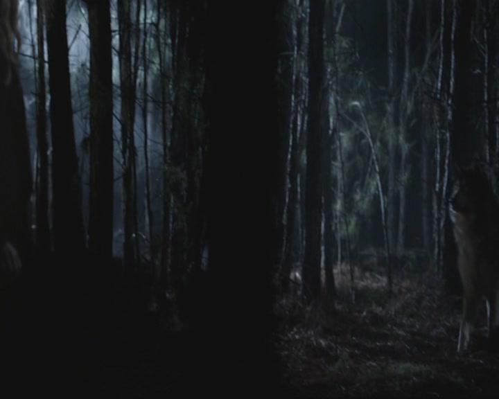 VampireDiariesWorld-dot-org_TheOriginals1x3CresentCity1844.jpg