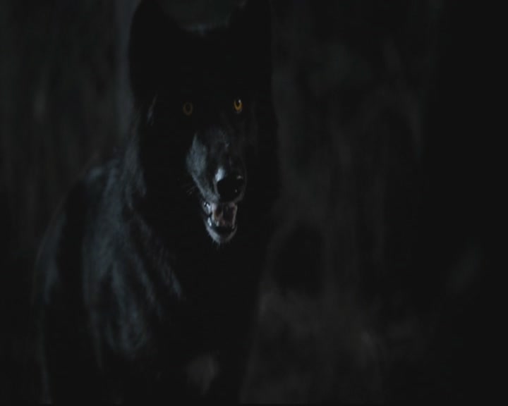 VampireDiariesWorld-dot-org_TheOriginals1x3CresentCity1853.jpg