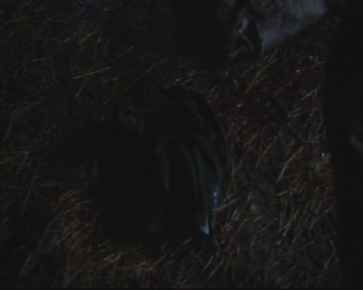 VampireDiariesWorld-dot-org_TheOriginals1x3CresentCity2019.jpg