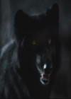 VampireDiariesWorld-dot-org_TheOriginals1x3CresentCity1848.jpg
