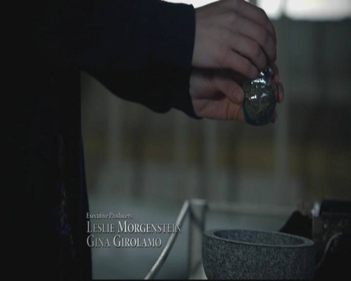 VampireDiariesWorld-dot-org_TheOriginals1x4LongWayBackFromHell0260.jpg