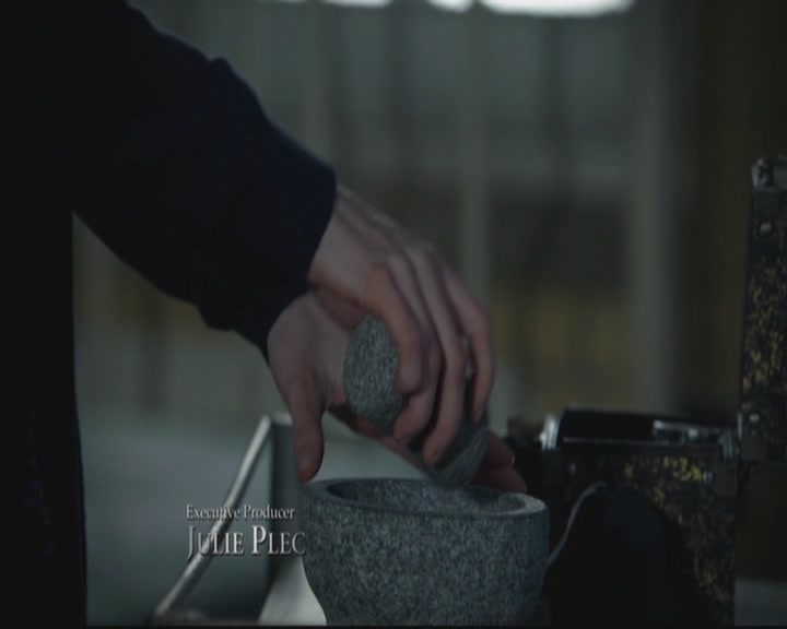 VampireDiariesWorld-dot-org_TheOriginals1x4LongWayBackFromHell0263.jpg