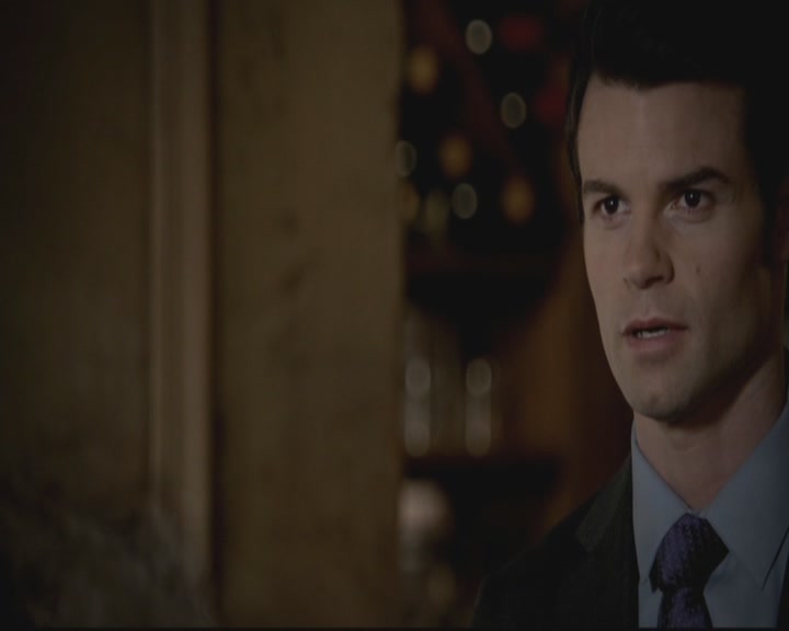 VampireDiariesWorld-dot-org_TheOriginals1x4LongWayBackFromHell1521.jpg