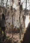 VampireDiariesWorld-dot-org_TheOriginals1x15LeGrandGuignol1599.jpg