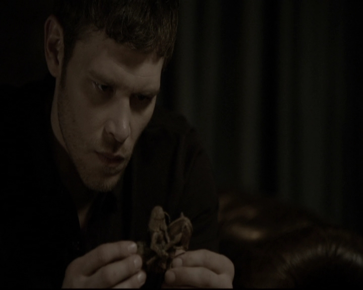 VampireDiariesWorld-dot-org_TheOriginals1x16FarewellToStoryville2283.jpg
