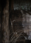 VampireDiariesWorld-dot-org_TheOriginals1x16FarewellToStoryville0039.jpg