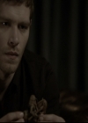 Filename=VampireDiariesWorld-dot-org_TheOriginals1x16FarewellToStoryville2291.jpg
Filesize=133KiB
Dimensions=720x576
Date added=Dec 18, 2014 VampireDiariesWorld-dot-org_TheOriginals1x16FarewellToStoryville2291.jpg