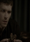 Filename=VampireDiariesWorld-dot-org_TheOriginals1x16FarewellToStoryville2292.jpg
Filesize=132KiB
Dimensions=720x576
Date added=Dec 18, 2014 VampireDiariesWorld-dot-org_TheOriginals1x16FarewellToStoryville2292.jpg