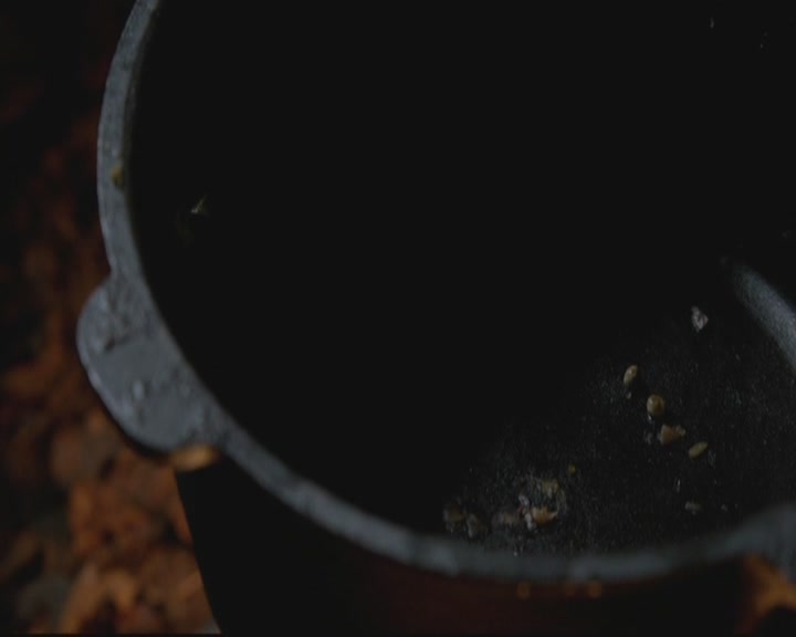 VampireDiariesWorld-dot-org_TheOriginals1x17MoonOverBourbonStreet0117.jpg
