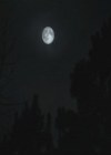 Filename=VampireDiariesWorld-dot-org_TheOriginals1x17MoonOverBourbonStreet0113.jpg
Filesize=14KiB
Dimensions=720x576
Date added=Dec 18, 2014 VampireDiariesWorld-dot-org_TheOriginals1x17MoonOverBourbonStreet0113.jpg