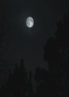 Filename=VampireDiariesWorld-dot-org_TheOriginals1x17MoonOverBourbonStreet0114.jpg
Filesize=13KiB
Dimensions=720x576
Date added=Dec 18, 2014 VampireDiariesWorld-dot-org_TheOriginals1x17MoonOverBourbonStreet0114.jpg
