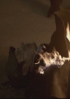 Filename=VampireDiariesWorld-dot-org_TheOriginals1x18TheBigUneasy2250.jpg
Filesize=28KiB
Dimensions=720x576
Date added=Dec 18, 2014 VampireDiariesWorld-dot-org_TheOriginals1x18TheBigUneasy2250.jpg