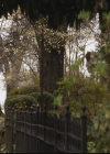 VampireDiariesWorld-dot-org_TheOriginals1x20ACloserWalkWithThee0185.jpg