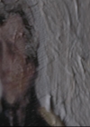 Filename=VampireDiariesWorld-dot-org_TheOriginals1x21TheBattleOfNewOrleans-deletedscene0009.jpg
Filesize=136KiB
Dimensions=720x576
Date added=Dec 18, 2014 VampireDiariesWorld-dot-org_TheOriginals1x21TheBattleOfNewOrleans-deletedscene0009.jpg