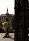 VampireDiariesWorld-dot-org_TheOriginals1x21TheBattleOfNewOrleans0113.jpg