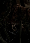 Filename=VampireDiariesWorld-dot-org_TheOriginals1x22FromACradleToAGrave-deletedscene0233.jpg
Filesize=139KiB
Dimensions=720x576
Date added=Dec 18, 2014 VampireDiariesWorld-dot-org_TheOriginals1x22FromACradleToAGrave-deletedscene0233.jpg