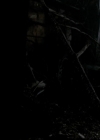 Filename=VampireDiariesWorld-dot-org_TheOriginals1x22FromACradleToAGrave-deletedscene0240.jpg
Filesize=76KiB
Dimensions=720x576
Date added=Dec 18, 2014 VampireDiariesWorld-dot-org_TheOriginals1x22FromACradleToAGrave-deletedscene0240.jpg