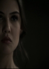 VampireDiariesWorld-dot-org_TheOriginalsS1-2014PaleyFestPanel0835.jpg