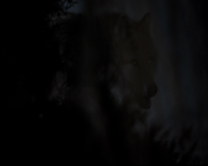 VampireDiariesWorld-dot-org_TheOriginalsS1-TheOriginalVampires-ABiteSizesStory0103.jpg