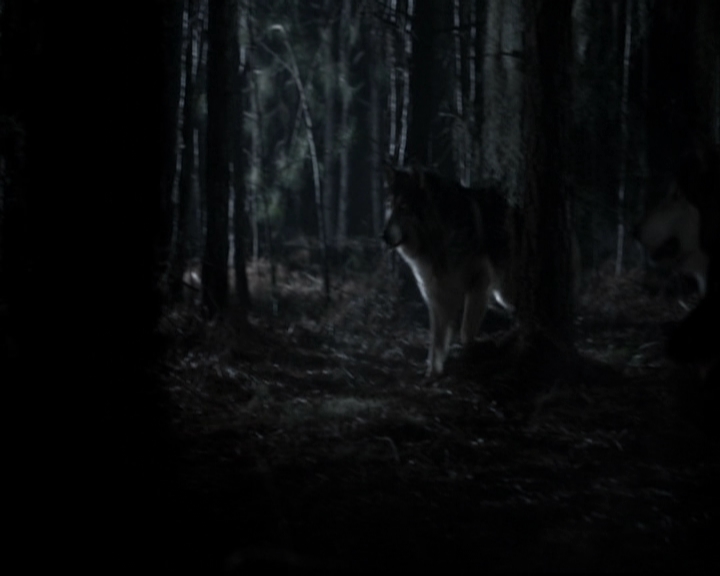 VampireDiariesWorld-dot-org_TheOriginalsS1-TheOriginalVampires-ABiteSizesStory0105.jpg
