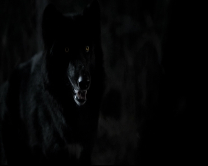 VampireDiariesWorld-dot-org_TheOriginalsS1-TheOriginalVampires-ABiteSizesStory0107.jpg