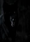 VampireDiariesWorld-dot-org_TheOriginalsS1-TheOriginalVampires-ABiteSizesStory0106.jpg